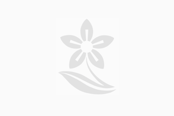 Nenechte si ujít aktuální tipy do zahrady!  Přihlaste se k odběru novinek e-mailem