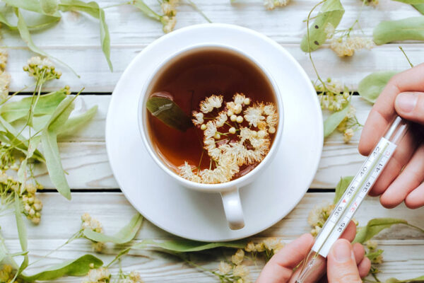 Horečku sníží také čaj z lipového květu