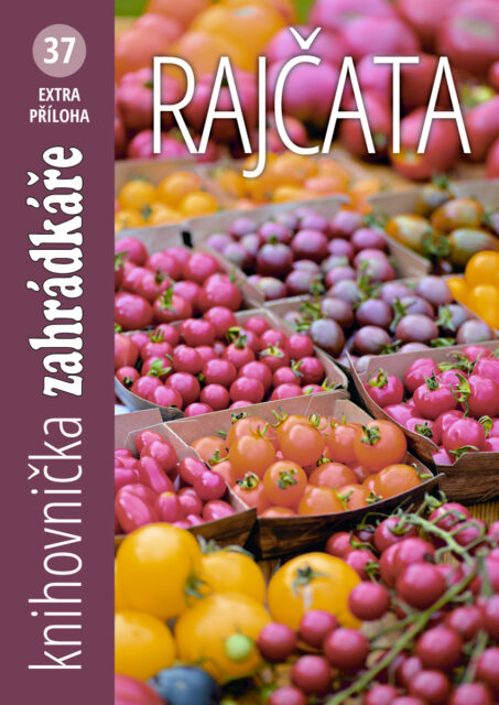 Knihovnička jako dárek