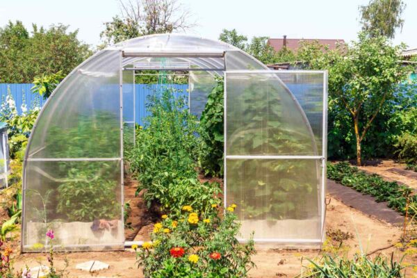 skleník pro bohatší úrodu