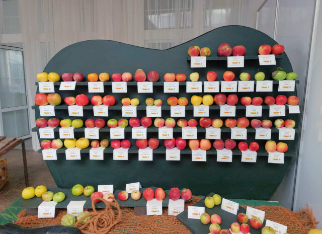 Výstava Zahrada Čech - soutěž časopisu Zahrádkář