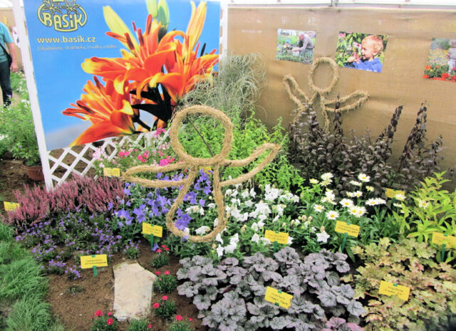 Výstava v Čimelicích je pořádána jednou za dva roky