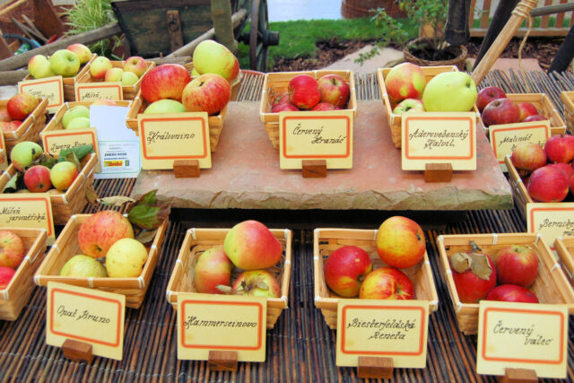 Den Zahrádkáře na Zahradě Čech Litoměřice