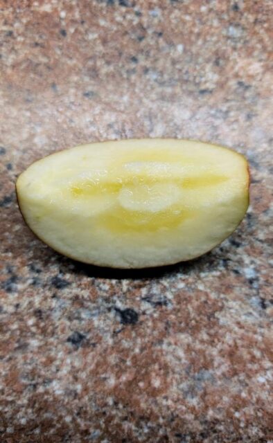 Problémy ovocných stromů - sklovitost