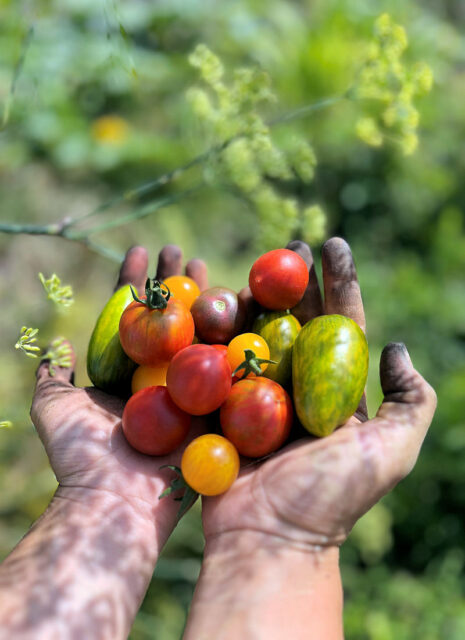 48 hodin městského zemědělství 2026