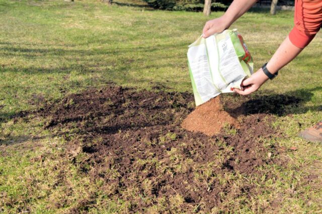 Směs na opravu holých ploch v trávníku