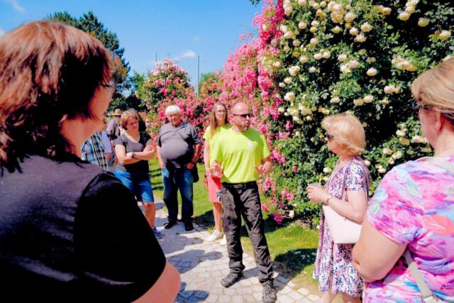 Akce Vyznání růžím - olomoucké Rozárium
