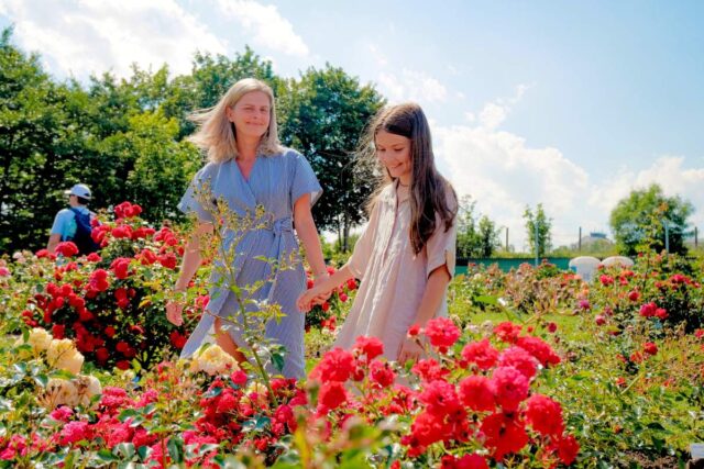 Akce Vyznání růžím - olomoucké Rozárium