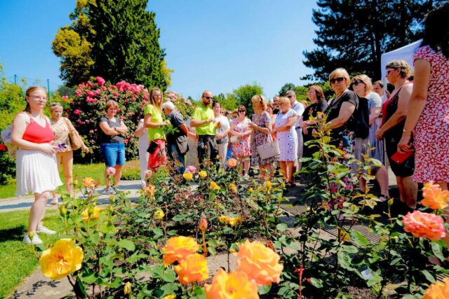 Akce Vyznání růžím - olomoucké Rozárium