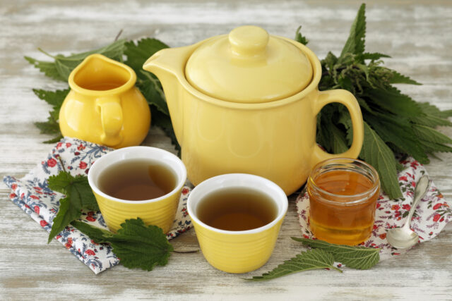 Kopřiva se využívá při léčbě chronických i akutních onemocnění dýchacích cest