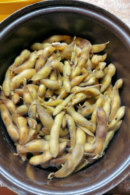Lusky edamame vaříme v osolené vodě