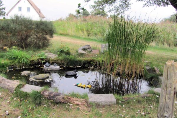 Jezírka a rybníčky zlepšují ovzduší a akumulují vodu