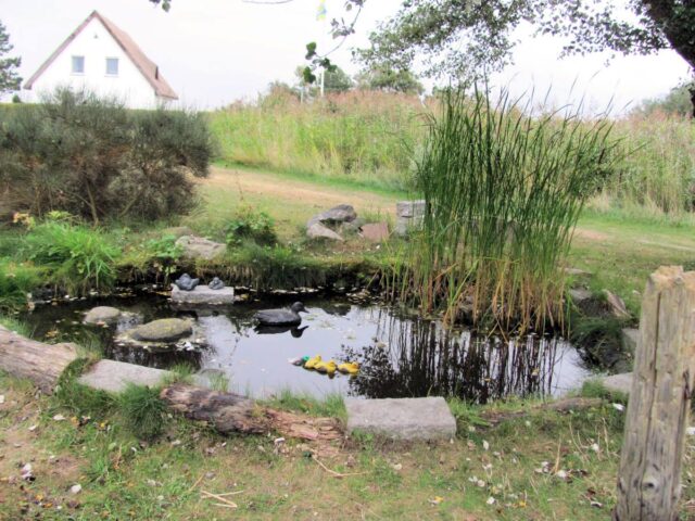 Jezírka a rybníčky zlepšují ovzduší a akumulují vodu