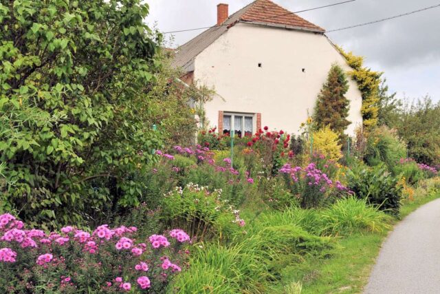 Květiny lemující veřejnou komunikaci