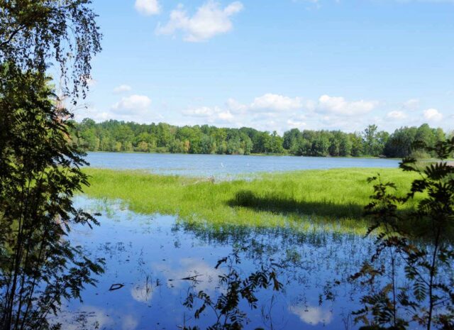 Třeboň - krajina rybníků a luk
