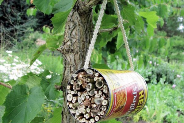 Podpora přirozených nepřátel škůdců