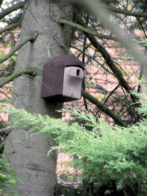 Podpora přirozených nepřátel škůdců