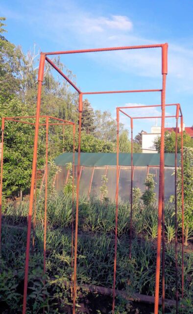 Konstrukce pro rajčata