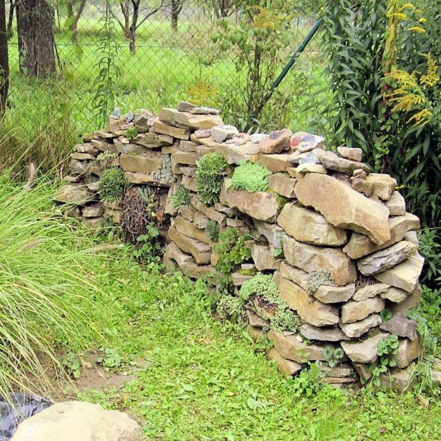 Podpora přirozených nepřátel škůdců