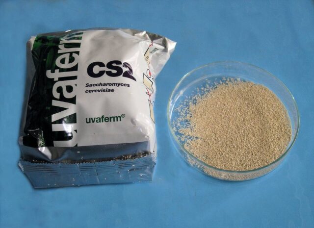 Příprava na kvašení kvasinky 