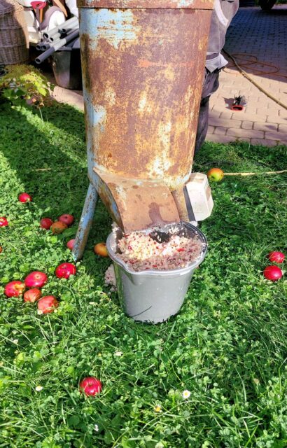 Ovoce )před moštováním rozdrtíme