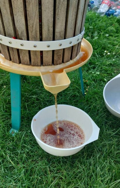 Domácí moštování