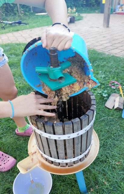 Drť jablek vložíme do lisu