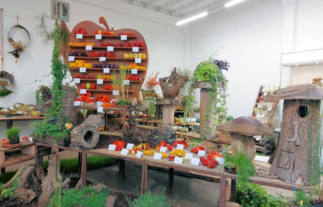 Zahrádkářská expozice na Zahradě Čech