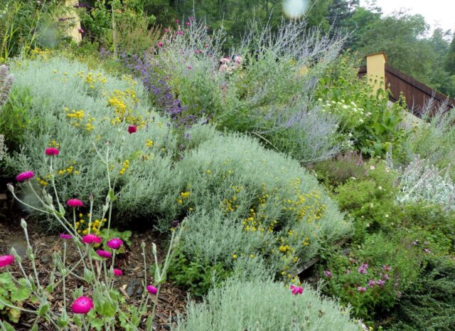Osázení svažitého pozemku v zahradě