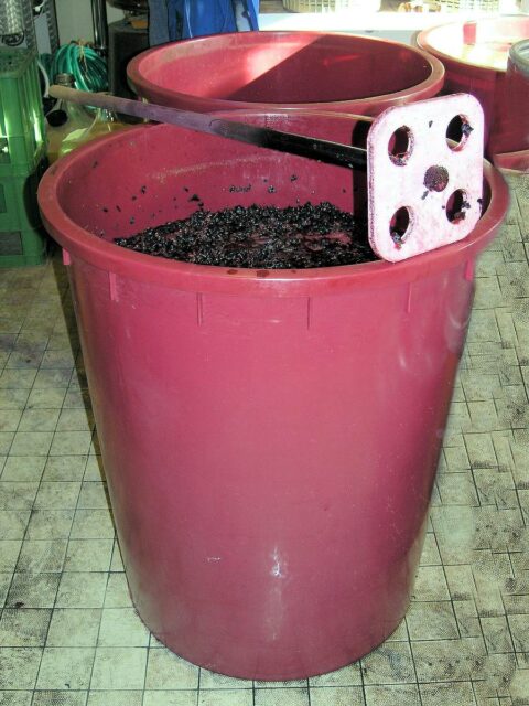 Macerace modrých hroznů - domácí výroba vína