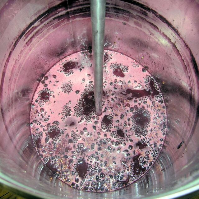 Kvašení rmutu - výroba vína