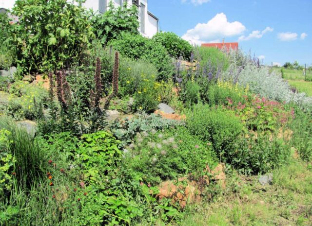 Osázení svažitého pozemku v zahradě