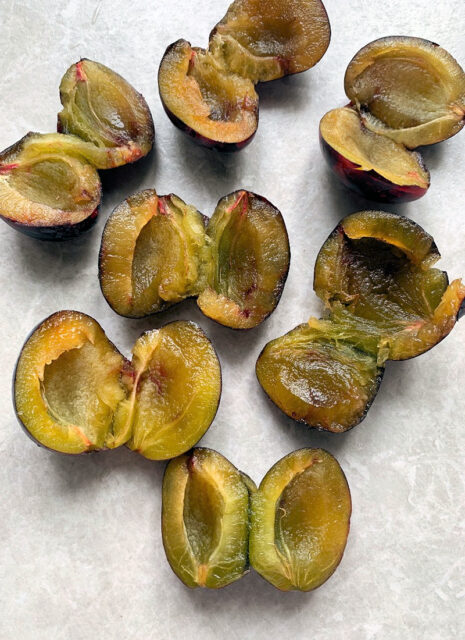 Problémy zahrádkářů - dotazy/odpovědi