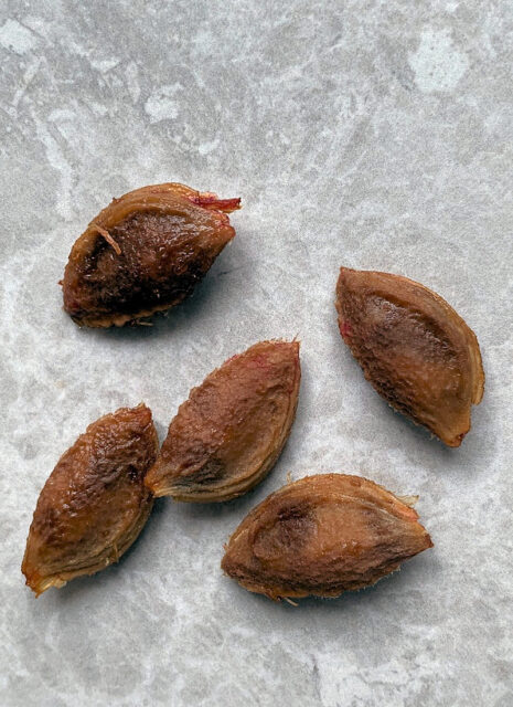 Problémy zahrádkářů - dotazy/odpovědi