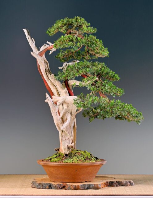 Výstaviště Kroměříž 