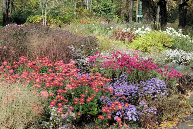 Trvalkový záhon podzimní aspekt