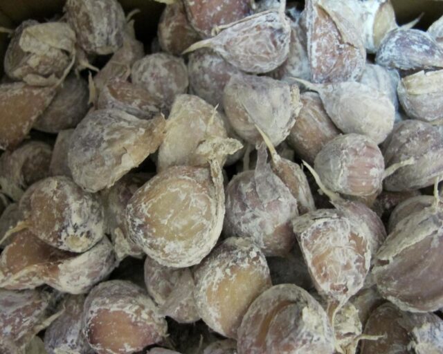 Ošetřené stroužky česneku