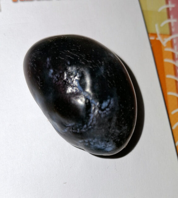 Problémy zahrádkářů - dotazy/odpovědi