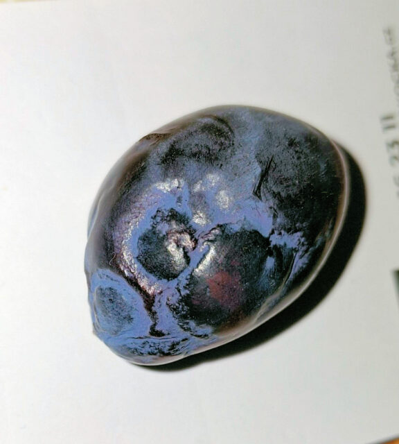 Problémy zahrádkářů - dotazy/odpovědi