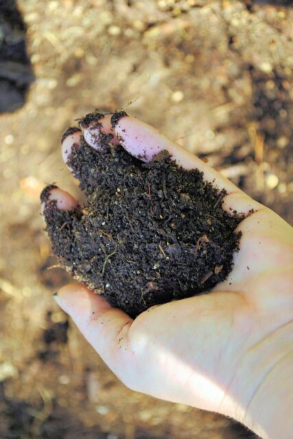 Zemina z kompostu s listovkou je nadýchaná