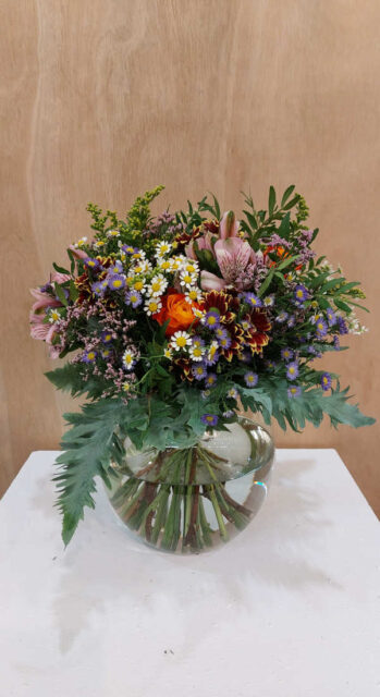 Vítěz kategorie žák