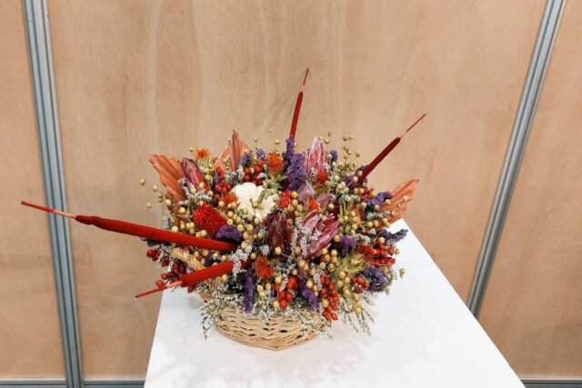 Vítěz senior Hana Máčalová