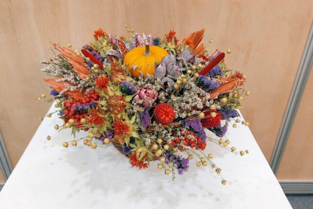 Juniorská vítězka Jana Vávrová