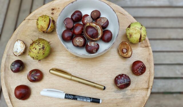 Kaštany vybízení k podzimnímu tvoření tvoření