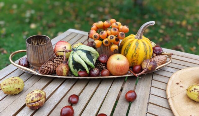 Výsledek podzimního tvoření s dětmi