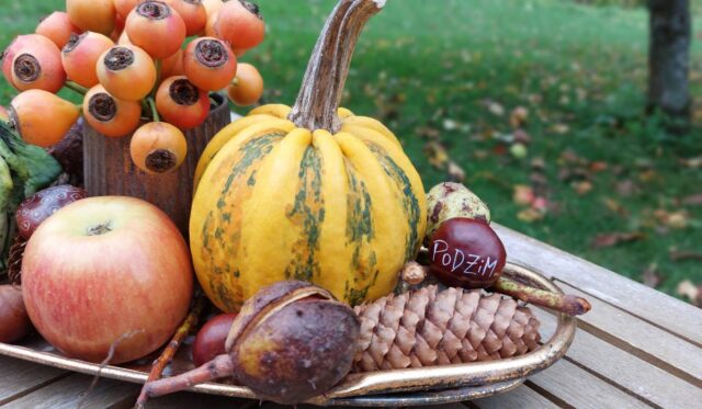 Kaštany jsou ideální pro společné tvoření s dětmi