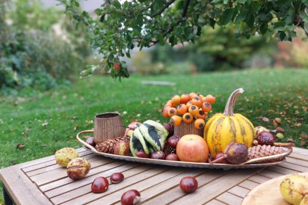 Výsledek podzimního tvoření s dětmi