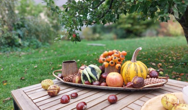 Výsledek podzimního tvoření s dětmi