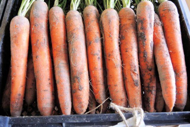 Jak na skladování zeleniny?