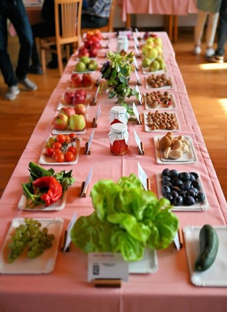 Výstava ČZS Míškovice 2025